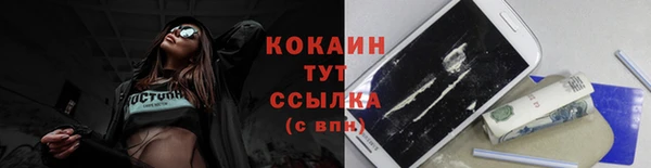 амф Аркадак