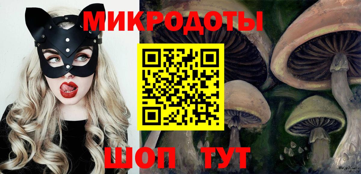 Галлюциногенные грибы Psilocybine cubensis Нарьян-Мар
