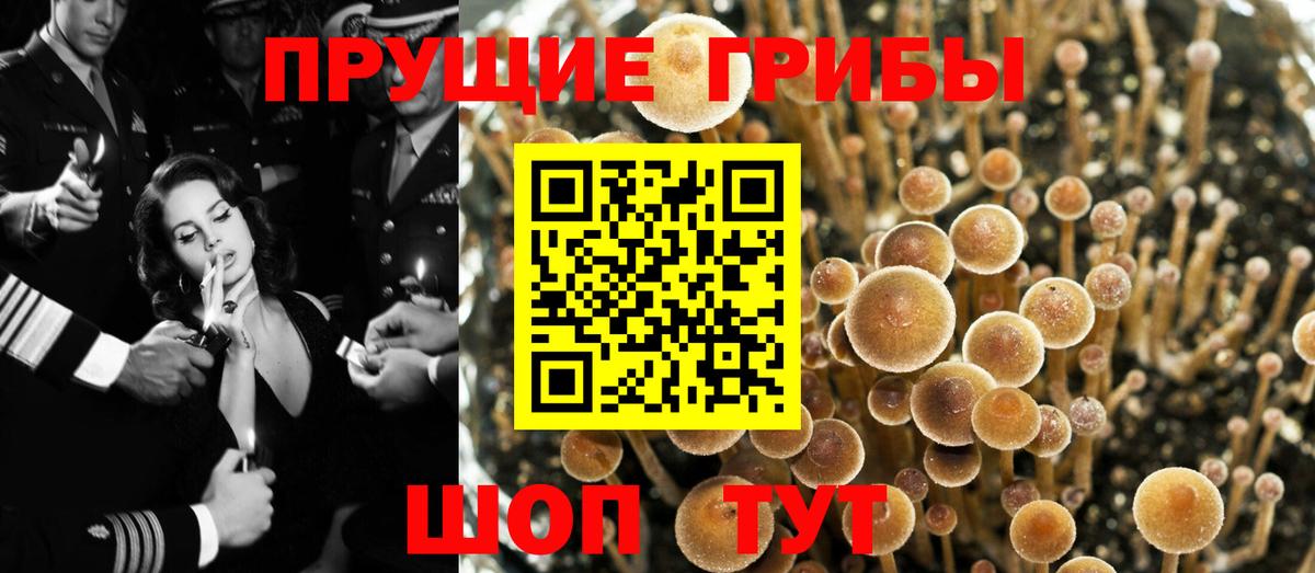 сколько стоит  Вход с VPN  Нарьян-Мар  Псилоцибиновые грибы GOLDEN TEACHER 